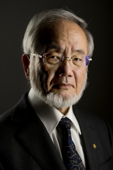 Image showing a portrait Yoshinori Ohsumi the winner of the Nobel Prize for his work on autophagy.